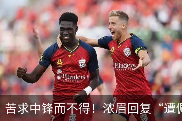 苦求中锋而不得！浓眉回复“遭佩林卡背刺”言论：😂😂😂